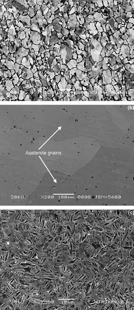 Sem Micrographs Of Examined Specimens A Observed Ferrite Phase Of