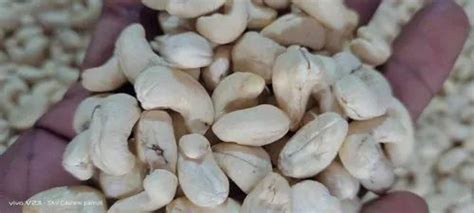 Griffin A240 White Mix Kaju Grade Steamed Cashew Nuts At Rs 700 Kg