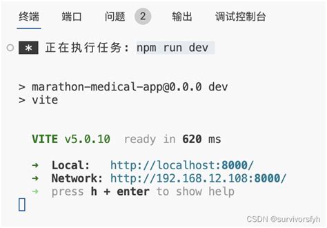 Npm Run Dev Vite Ip