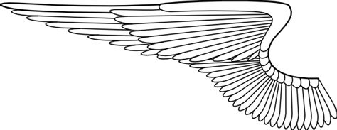 Wing clip art Free Vector / 4Vector