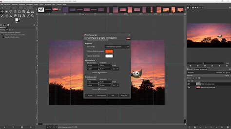 GIMP Lezione 06 Immagine Compressione Visualizza Griglia Guide