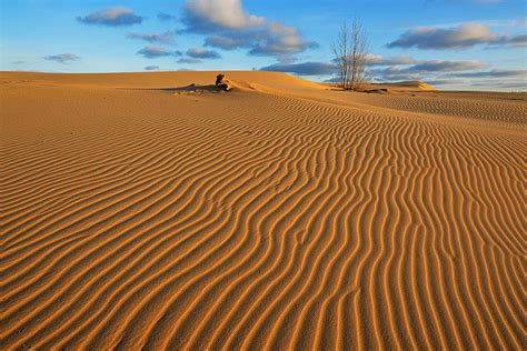 Silver Lake Sand Dunes Photograph by Dean Pennala