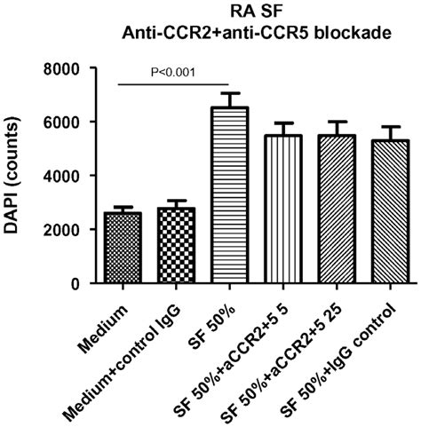 Dual Targeting Of Ccr2 And Ccr5 Does Not Block Sfinduced Ra Monocyte