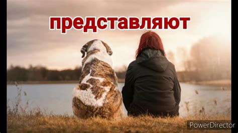 Животные вокруг нас - YouTube