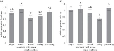 Vitellogenin And Vitellogenin Receptor Gene Expression Is Associated