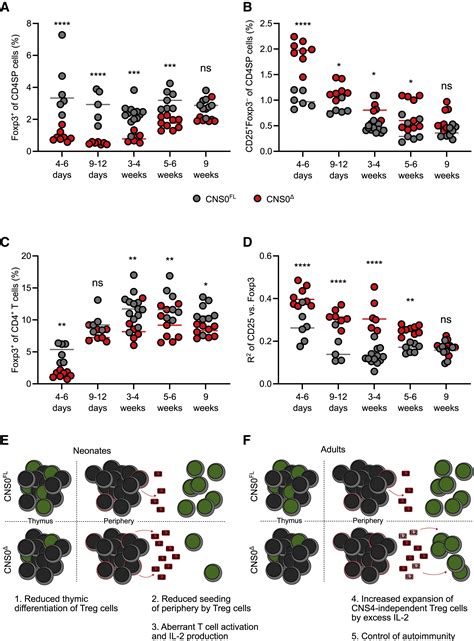 A Distal Foxp3 Enhancer Enables Interleukin 2 Dependent Thymic Treg