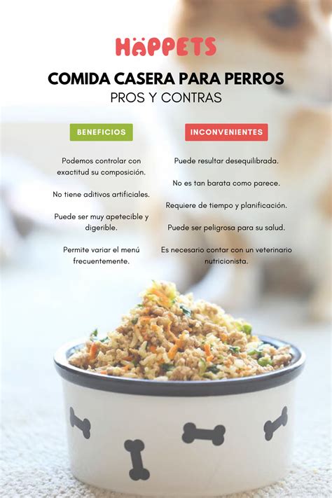 Comida Casera Para Perros Pros Y Contras