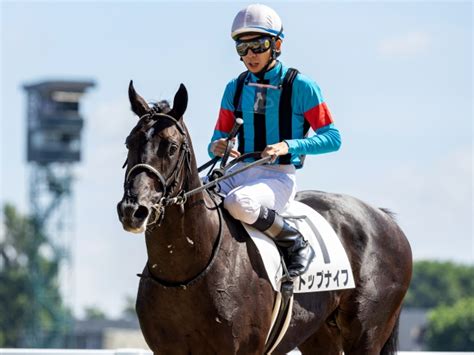 【2歳未勝利】 札幌 トップナイフが逃げ切って初勝利 競馬ニュース