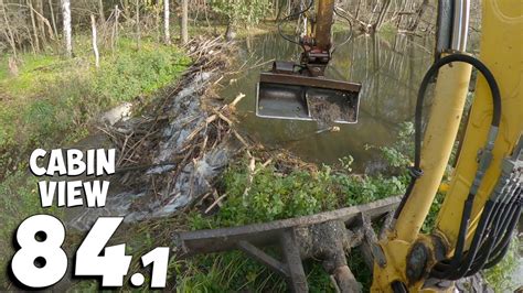 A Wide Beaver Dam With A Mass Of Branches And Mud Beaver Dam Removal