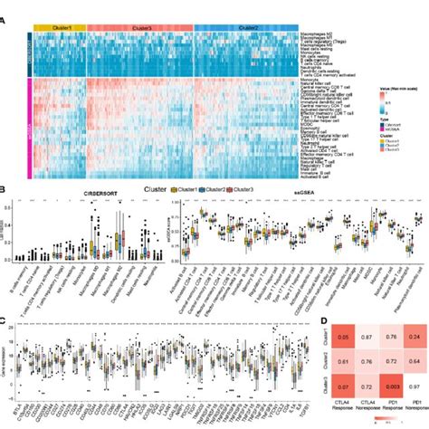 Immune Cells Infiltration Landscape And Immune Checkpoint Genes