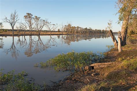 Chinchilla, Queensland Hotel - White Gums Motor Inn