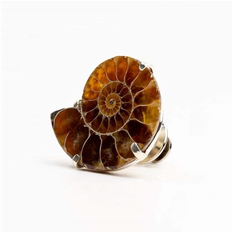 Ammonite Gemstone Lapel Pin G Alxndr