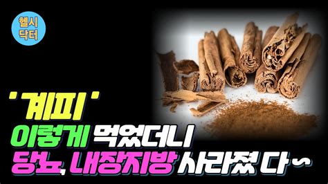 헬시닥터 당뇨와 내장지방 쫙~빼는 계피 천연 인슐린이 따로 없습니다 꼭 이렇게 드셔야 합니다 계피효능레시피 뱅쇼