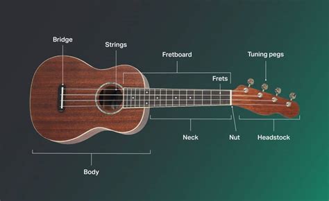 Where To Learn Ukulele Ins