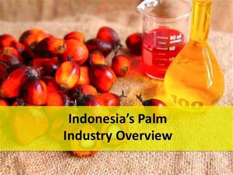 Indonesias Palm Oil Industry Overview