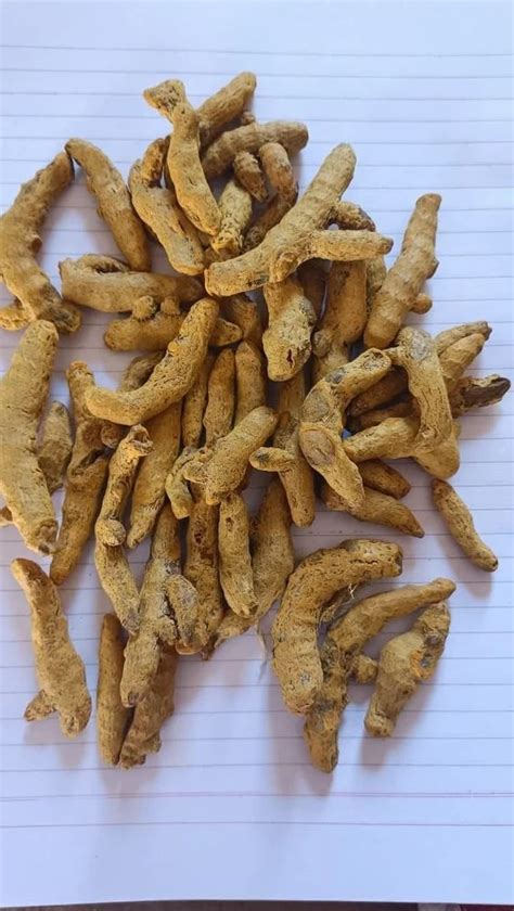 Organic Turmeric Finger At Rs Kg Haldi Stick In Fatehpur Id