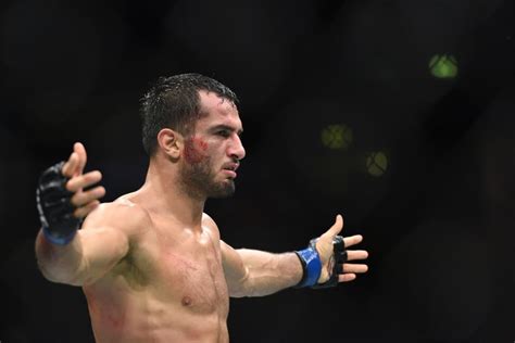 Gegard Mousasi Reveals Plan For Bellator Run