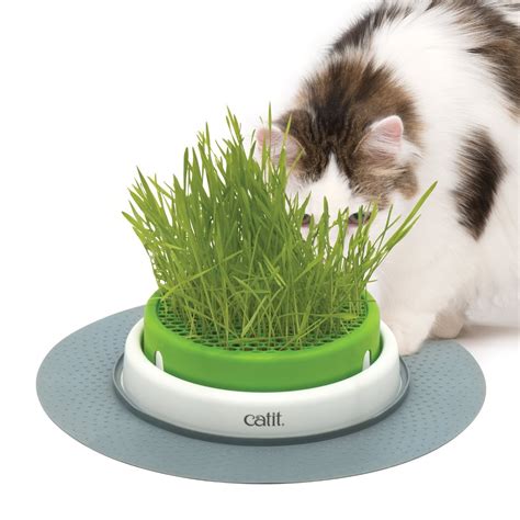 Catit 2 0 Cat Grass Planter Kit With Starter Grass Pack