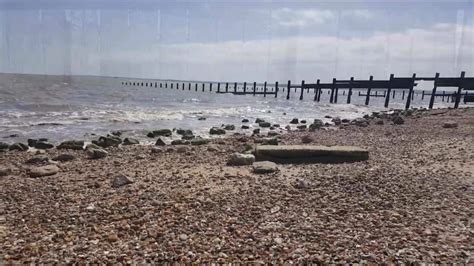 Free Beach Beauty Porn Videos XHamster