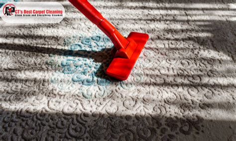 Benefits Of Hiring Professional Carpet Cleaning Services The Best