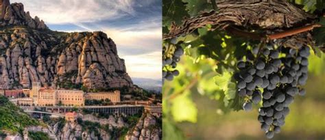 Montserrat And Cava Cellar Experience Barcelona Vip Tour