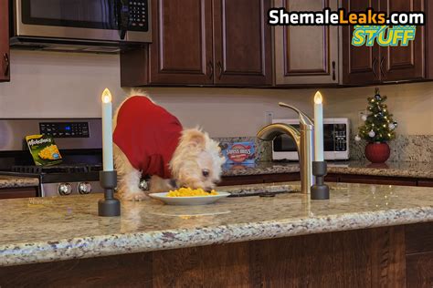 Lety Does Stuff LetyDoesStuff Leaked Nude OnlyFans Photo 159 ShemaleLeaks