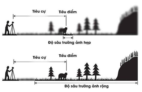 Tiêu Cự Là Gì Các Loại Tiêu Cự Ống Kính Máy Ảnh Và Cách Chọn Ống Kính