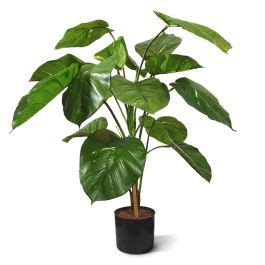 Pothos Deluxe Plante Artificielle De 90 Cm Maxifleur