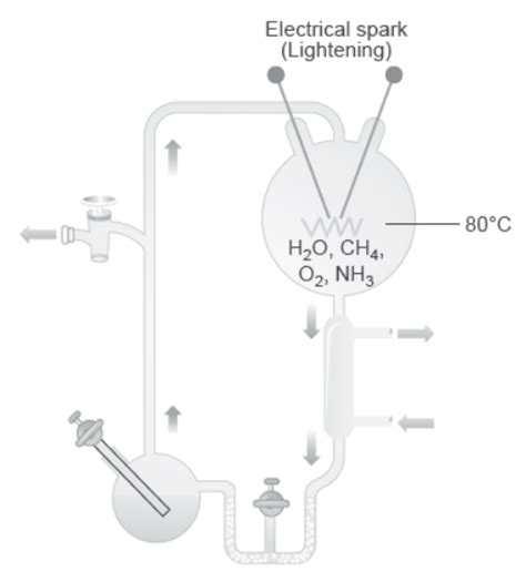 Ncert Solutions Class 12 Biology Chapter 7 Evolution