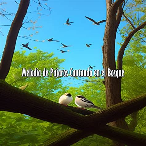 Play Melodía de Pájaros Cantando en el Bosque by Sonidos del Bosque on