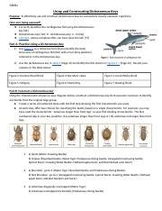 Dichotomous Key Assessment Docx SBI3U Using And Constructing