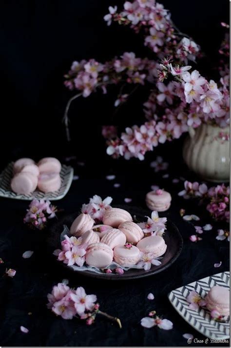 Le Nouveau Monde Selon Musefraisedesbois Macarons Strawberry