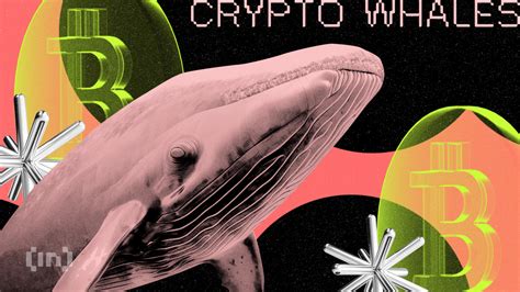 Which Altcoins are Crypto Whales Accumulating?