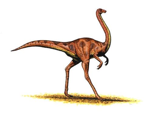 Ornithomimus Pictures & Facts - The Dinosaur Database