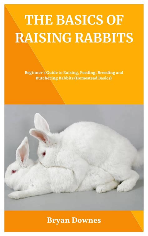 The Basics Of Raising Rabbits Beginners Guide To Raising Feeding