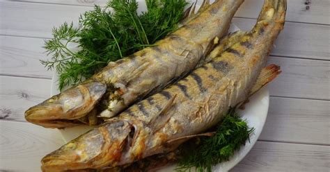 Фаршированный судак - пошаговый рецепт с фото, ингредиенты, как ...
