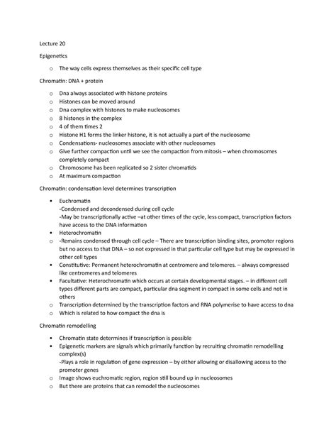 Lecture Just A Summary Lecture Epigenetics O The Way Cells