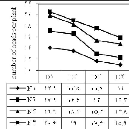 Interaction Effect Of N Rate And Sowing Date On Seed Yield Kgha