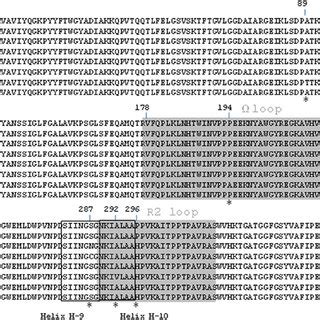 Amino Acids Alignments Of The Esac Lactamases Ampc Ec Is A Published