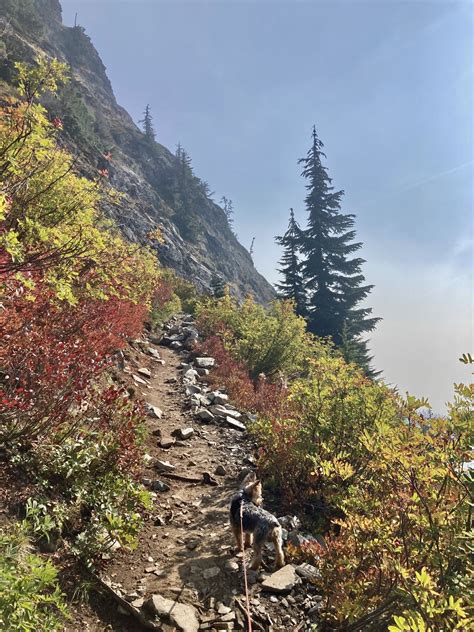 where is parella lewis now 4