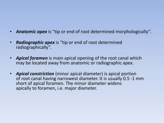 013 Working Length Determination PPT