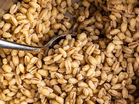 Health Benefits of Barley - Karinokada