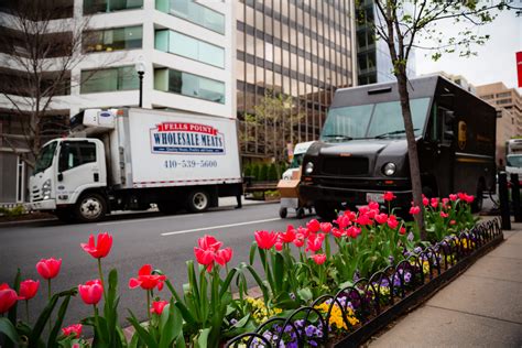 Can Box Trucks Park on Residential Streets • The Truck How