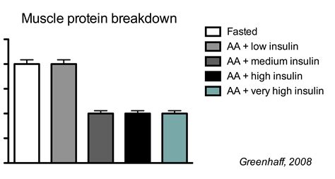 The Ultimate Guide to Muscle Protein Synthesis