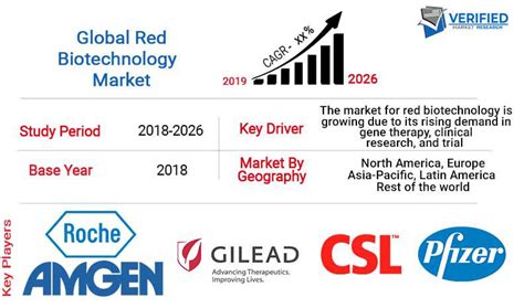 Red Biotechnology Market Size Trends Growth Opportunities And Forecast