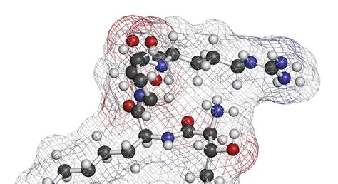 peptide synthesis - MOL Changes