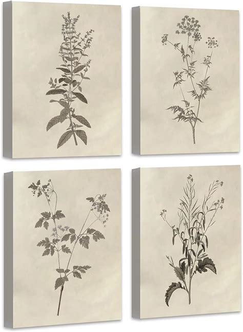 Amazon 𝗗𝗿𝘀𝗼𝘂𝗺 Botanical Plant Wall Art Vintage Flower Prints Boho