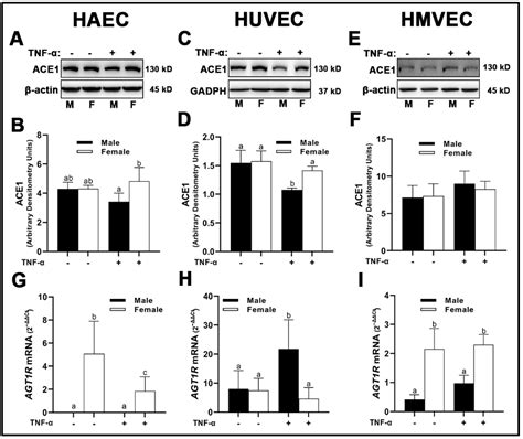 Cells Free Full Text Tissue Derivation And Biological Sex Uniquely