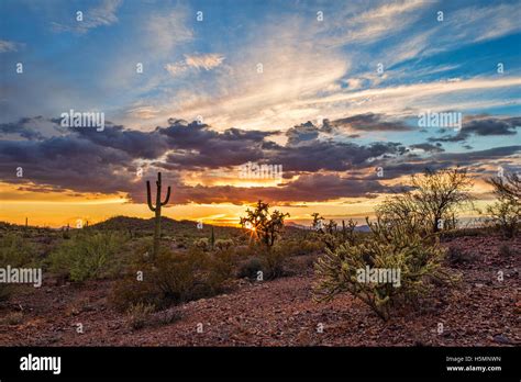 Colorful Sunset Over The Sonoran Desert Landscape In Arizona Stock