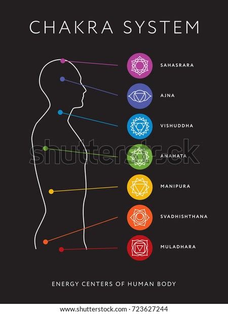 Chakra System Human Body Chart Seven Stock Vector Royalty Free